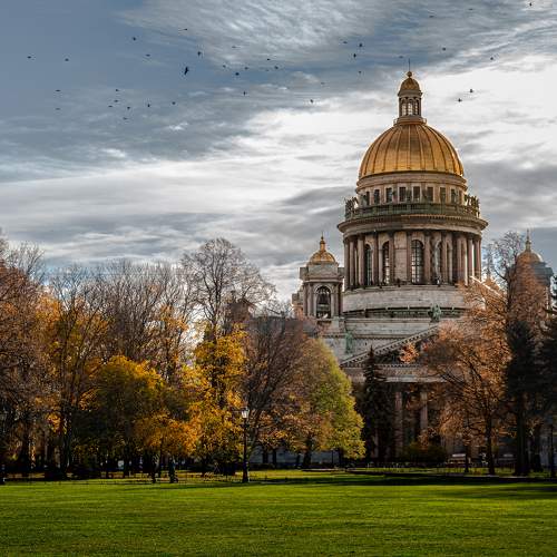 Photo #11140381