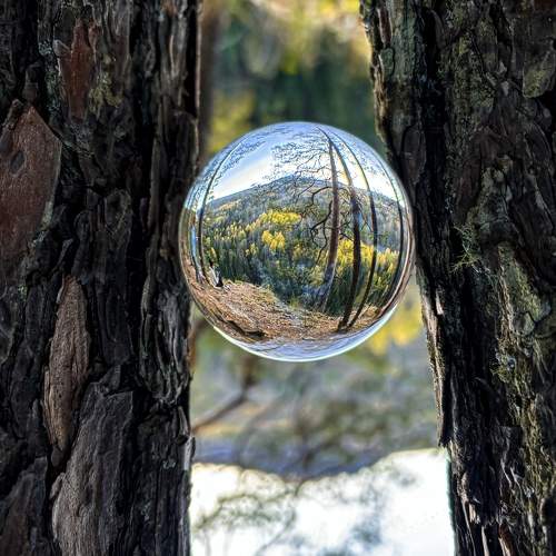 Photo #11140646