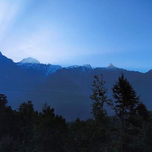 Photo #11140787
