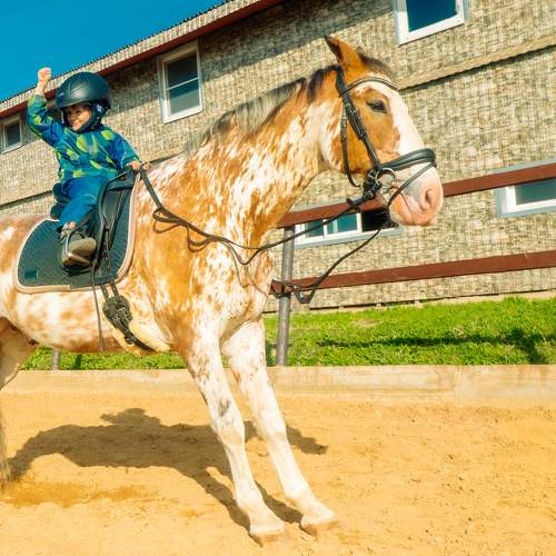 Photo #11140832