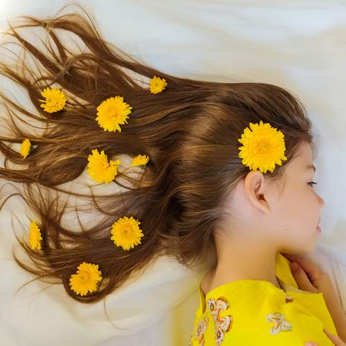 Photo #11140859