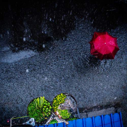 Photo #11140860