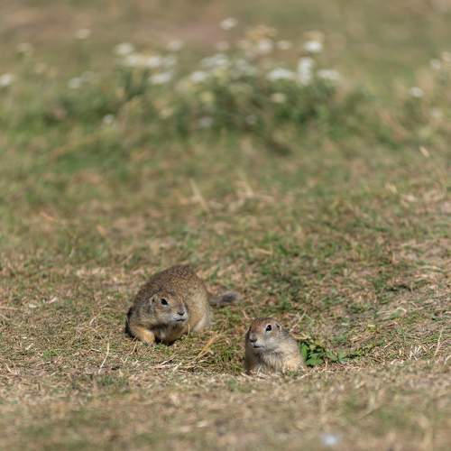 Photo #11140906