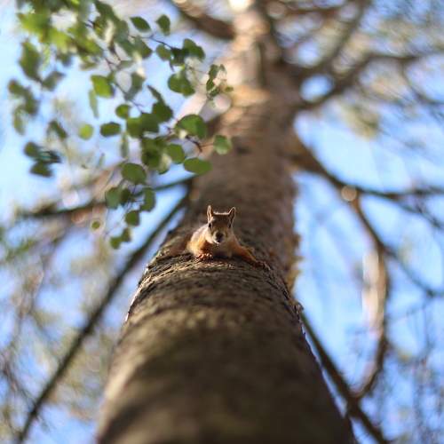 Photo #11141086