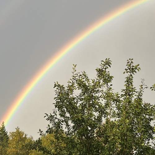 Photo #11141123