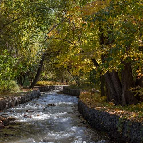 Photo #11141233