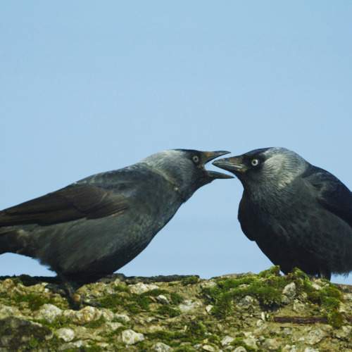 Photo #11141277