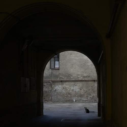 Photo #11141433