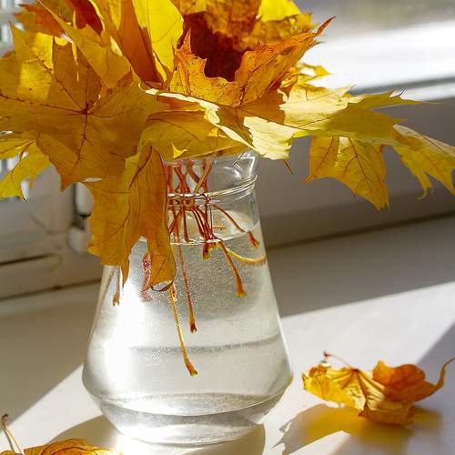 Photo #11141567