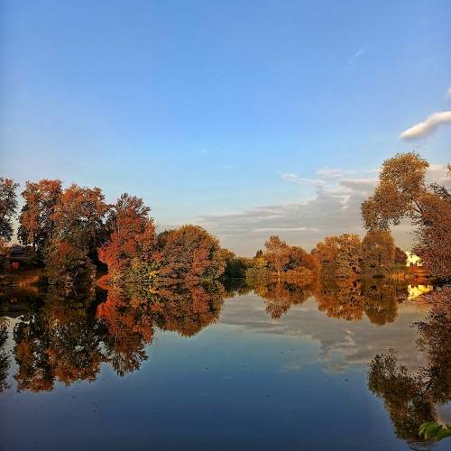 Photo #11141732