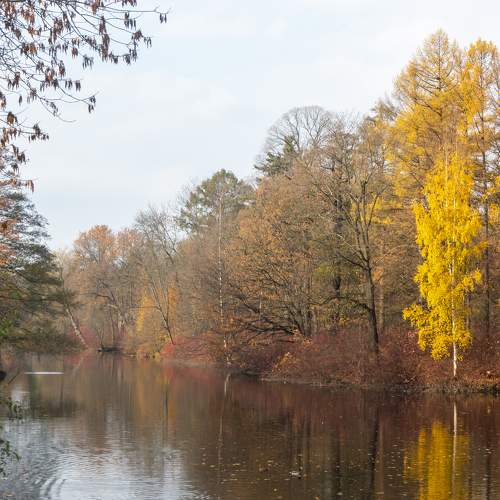 Photo #11141990