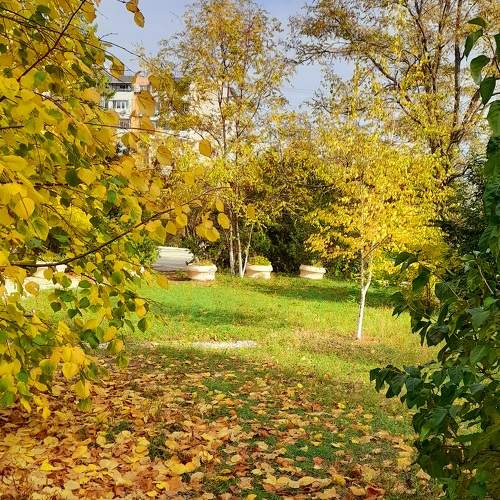 Photo #11142164
