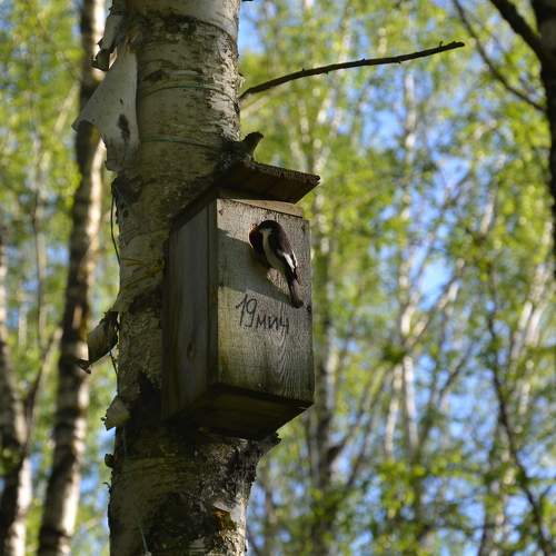 Photo #11142476