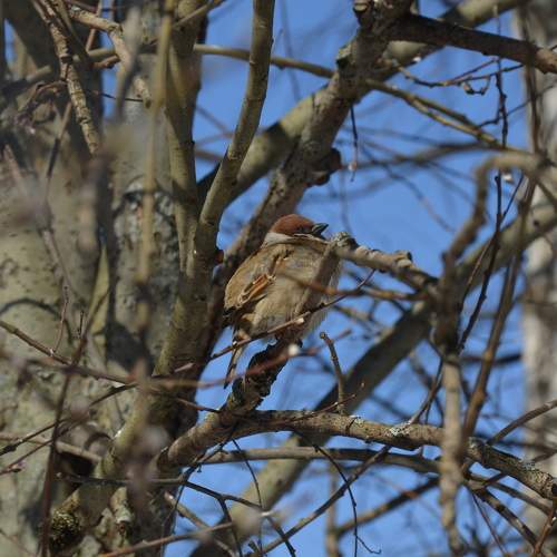 Photo #11142478