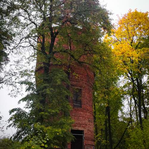 Photo #11142505