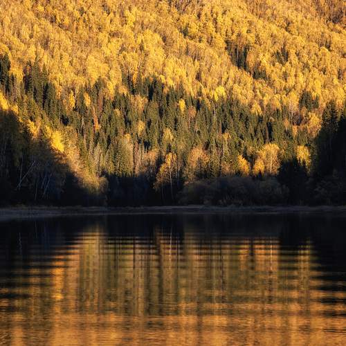 Photo #11142538