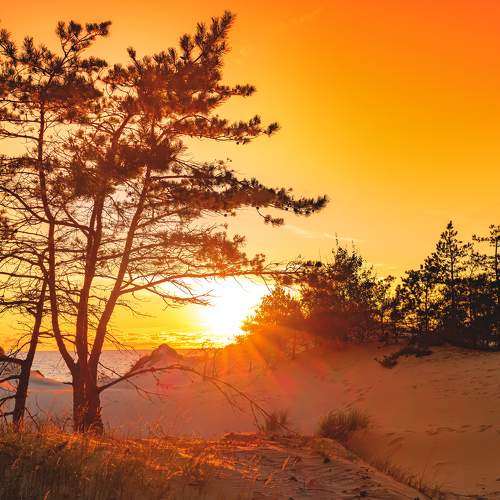 Фотография #11142705