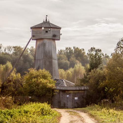 Photo #11142826