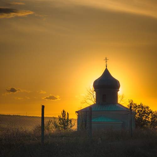 Photo #11142835