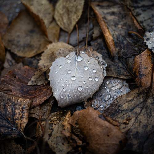 Photo #11143399