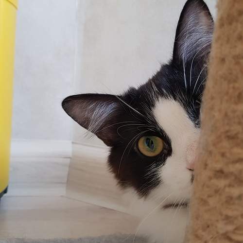 Photo #11143819
