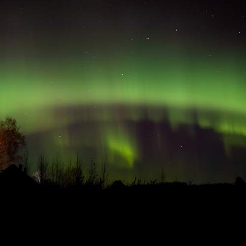 Photo #11143843