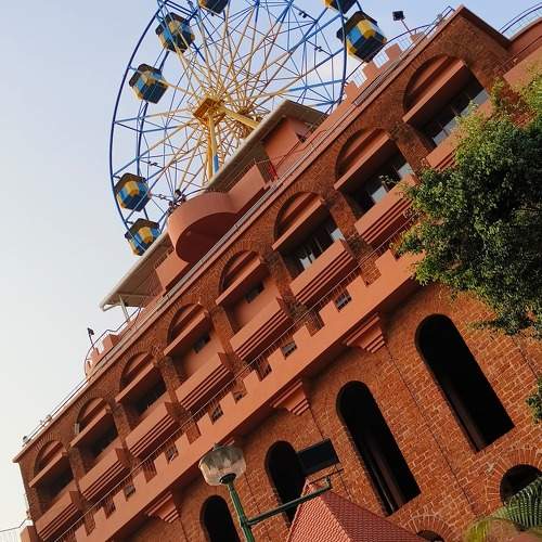 Photo #11143959