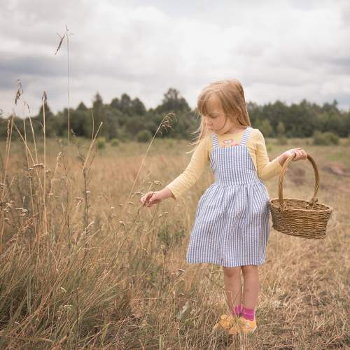 Photo #11144030