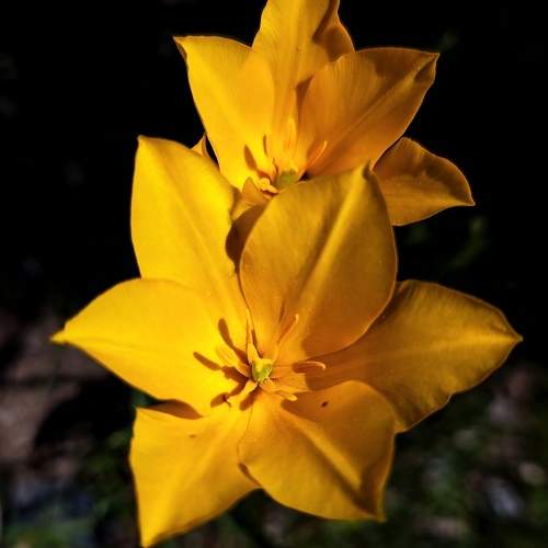 Photo #11144279