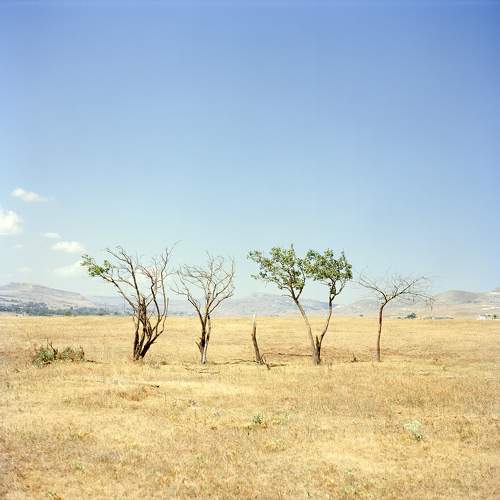 Photo #11144337