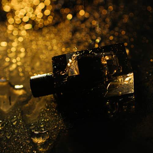 Photo #11144628
