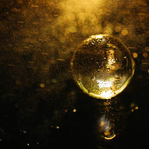 Photo #11144634