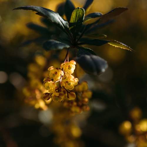 Photo #11144647