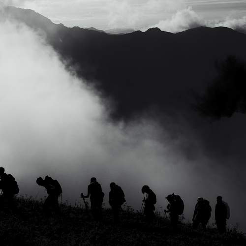 Photo #11144754