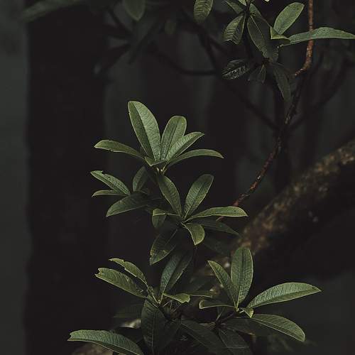 Photo #11144756