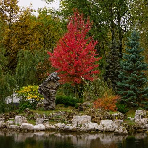 Photo #11145053