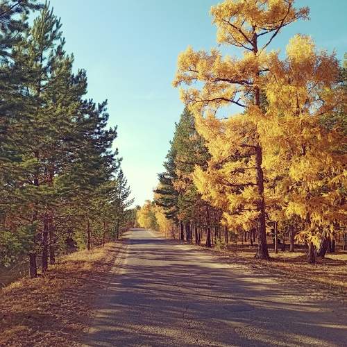 Photo #11145500