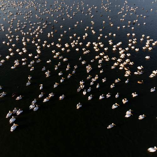 Фотография #11145611