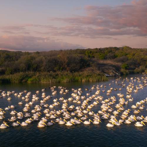 Фотография #11145612