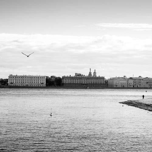 Photo #11145613