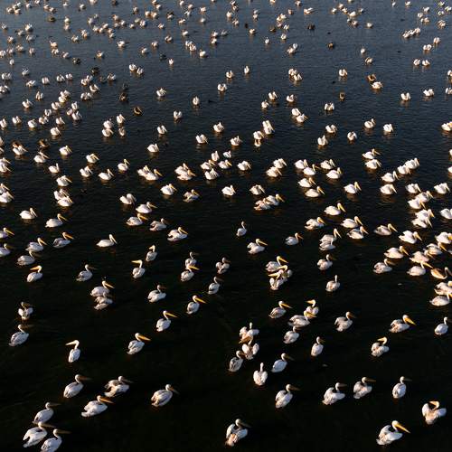 Фотография #11145624