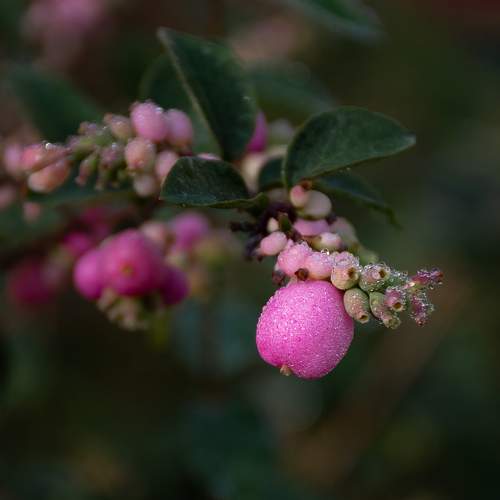 Photo #11145706