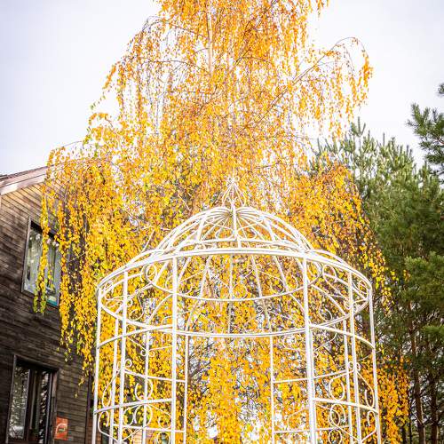 Photo #11145763