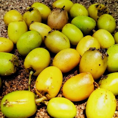Photo #11145979