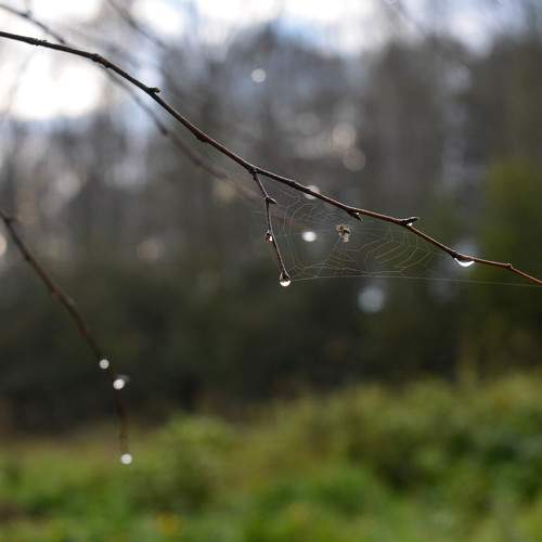 Photo #11146012