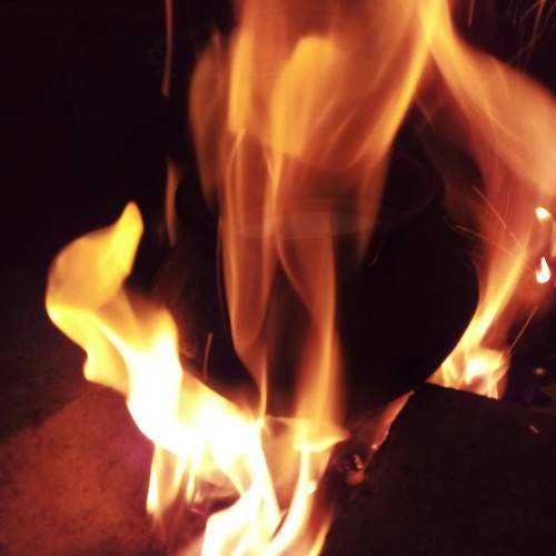 Photo #11146039