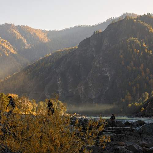 Photo #11146059
