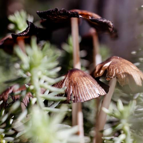 Photo #11146079
