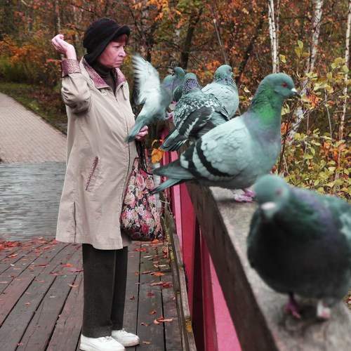 Photo #11146172
