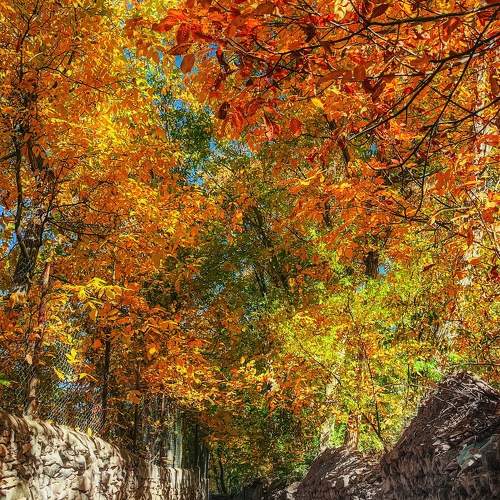Photo #11146190